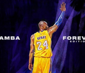 开云体育在线-压哨绝响，伊布一剑封喉，罗马逆转安哥拉